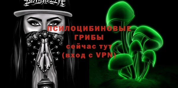 бошки Осинники