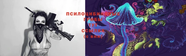 бошки Осинники