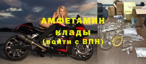дурь Пестово