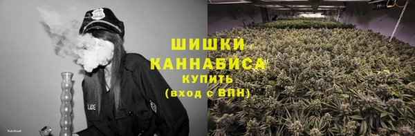 бошки Осинники