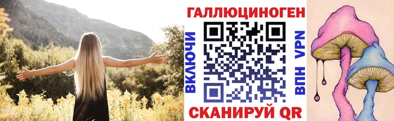 blacksprut зеркало  Тосно  Псилоцибиновые грибы ЛСД 