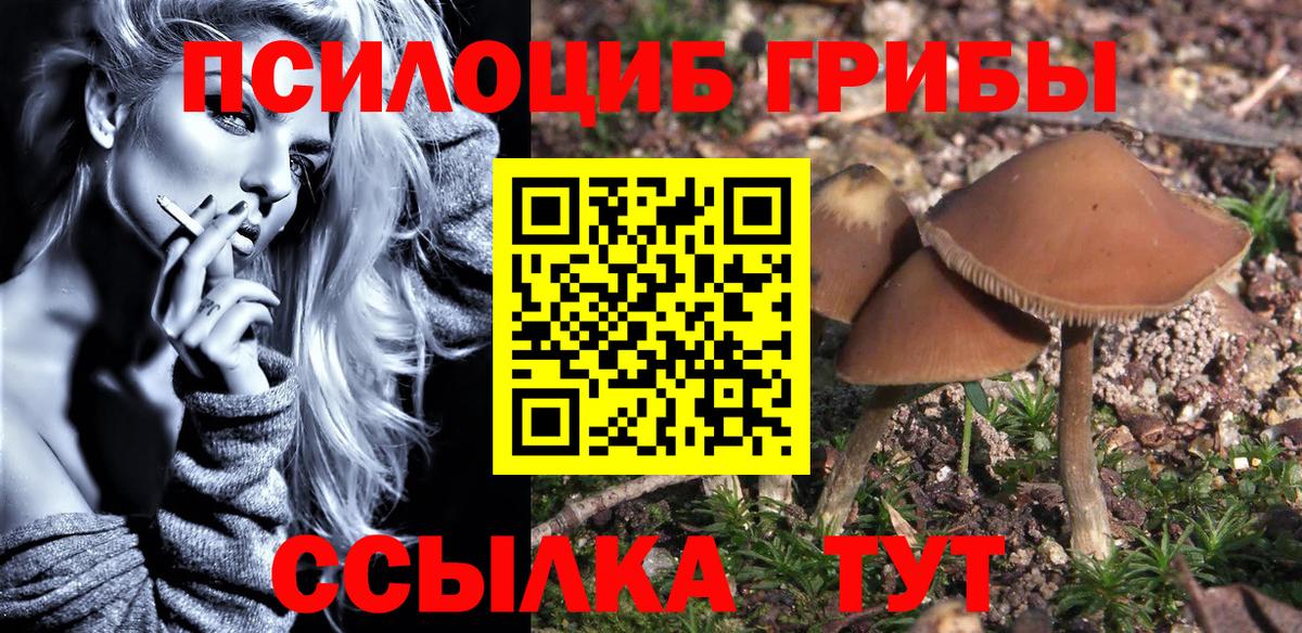 Галлюциногенные грибы MAGIC MUSHROOMS  Вход с VPN  Тосно 