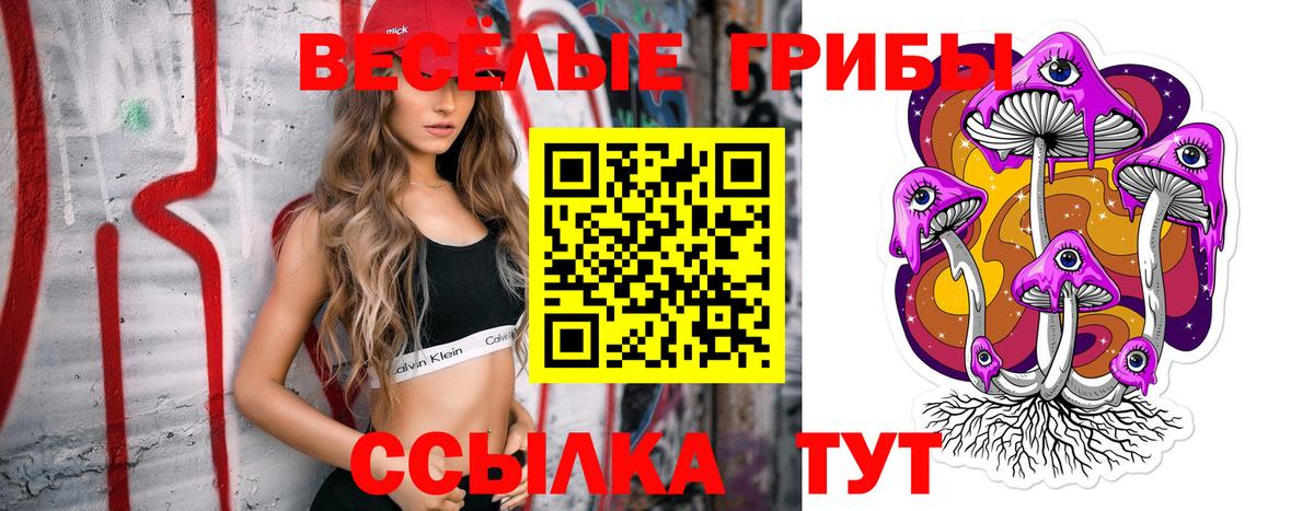 Галлюциногенные грибы ЛСД  наркошоп  Тосно 