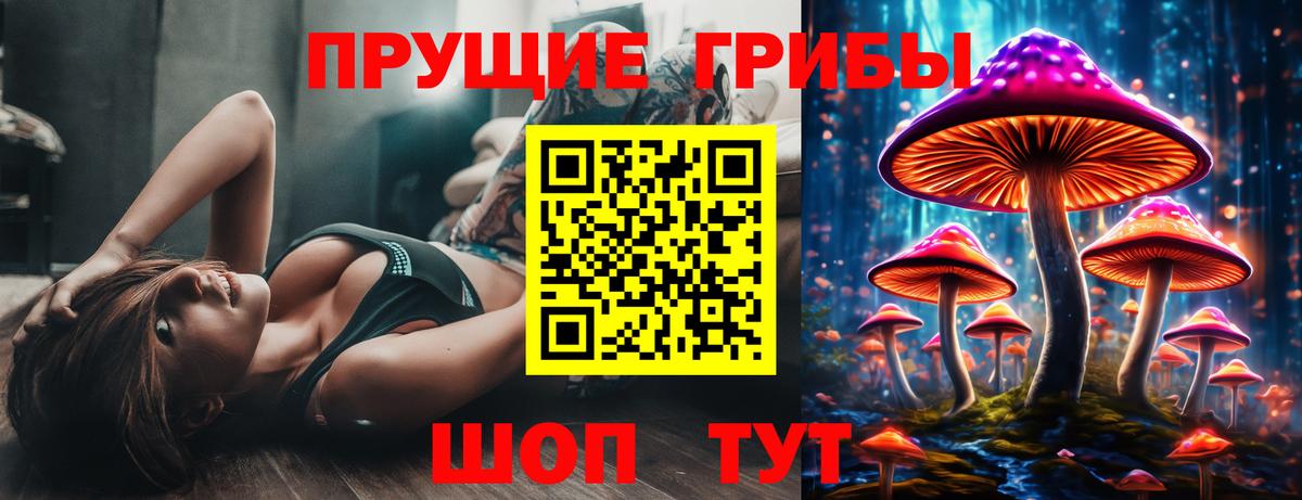 Псилоцибиновые грибы Cubensis Тосно