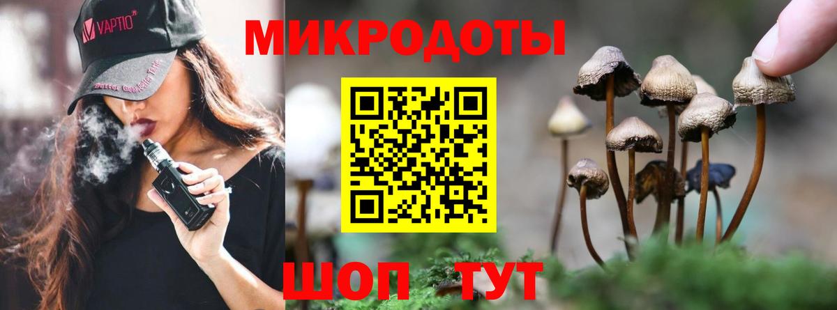 Псилоцибиновые грибы Psilocybe Тосно