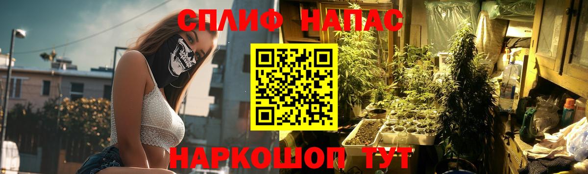 Марихуана индика  Тосно  Каннабис Amnesia 